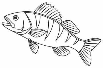 coloring page line art the perch black vector