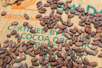 Fèves de cacao sur un sac en toile de jute 