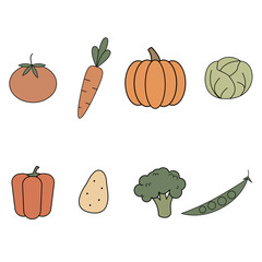 Set of vegetables vector illustrations. Flat design of healthy vegetarian ingredient. Isolated on transparent background.