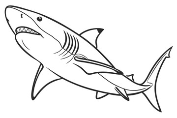 coloring page line art the bull shark fish black vector