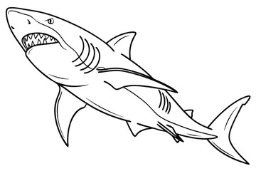 coloring page line art the bull shark fish black vector