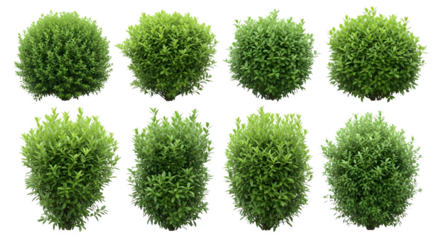 Eight green bushes arranged in a grid formation view    .ai generative, transparent background, white background. isolated on white background, png, jpeg, jpg.
