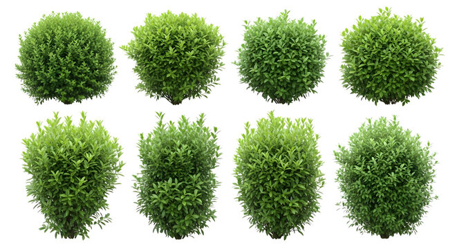 Eight green bushes arranged in a grid formation view    .ai generative, transparent background, white background. isolated on white background, png, jpeg, jpg.