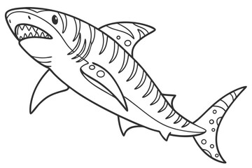 coloring page line art the tiger shark fish black vector