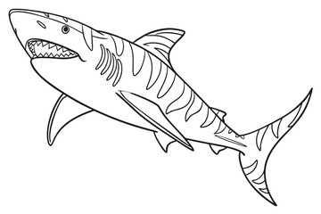 coloring page line art the tiger shark fish black vector