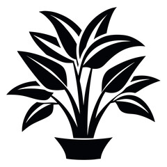 Black and White of a Large Leafed Plant in an Elegant Pot