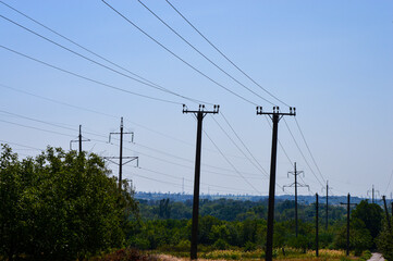 Electricity poles with overhead power lines against a clear blue sky and tree leaves in foreground.