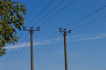 Electricity poles with overhead power lines against a clear blue sky and tree leaves in foreground.