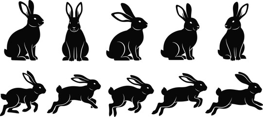 Rabbit silhouette, bunny poses, hopping motion, sitting rabbit, animal vector, wildlife icon, black shape, pet behavior, cute animal, nature art