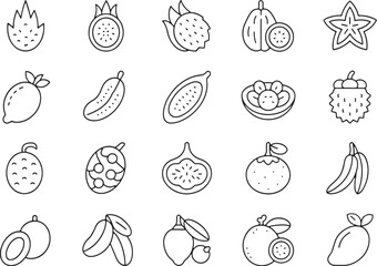 A comprehensive collection of high-quality vector line icons illustrating a variety of fresh, tropical, and exotic fruits for healthy eating and food-related designs