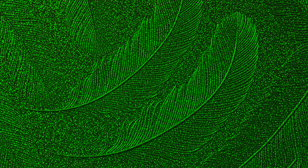 Glitter dark green shimmering feather abstract pattern texture background wallpaper