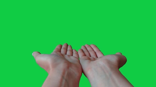 Close up fromt view of beautiful outstretched female hands isolated on green screen chroma key background. Woman holding empty open flat palms showing something virtual and invisible. Slow motion.