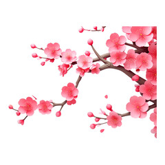 Fototapeta premium Illustration of a blooming branch with pink cherry blossom flowers and buds against a white background.