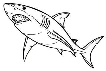 coloring page line art the shark fish black vector