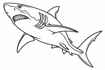 coloring page line art the shark fish black vector