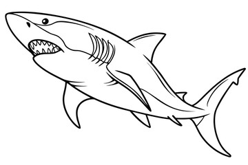coloring page line art the shark fish black vector