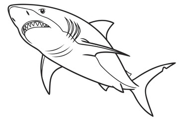 coloring page line art the shark fish black vector