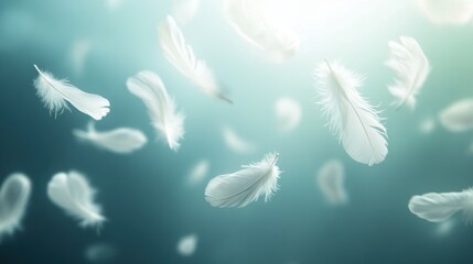 White Feathers Floating on Teal Sky