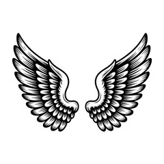 Obraz premium Ornate vector wings illustration with detailed feathering perfect for tattoo design or logo creation symbolizing freedom and flight in a monochrome aesthetic