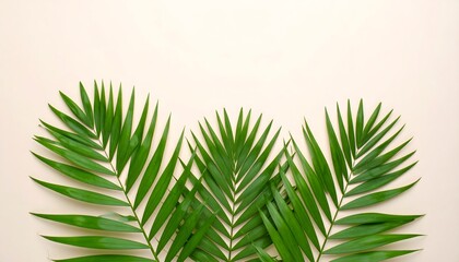 Fototapeta premium Minimalist Green Palm Leaves on Pastel Background for Interior Design and Web Background