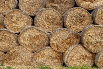 Close-up view of stacked round hay bales showing detailed straw texture - ideal for agricultural marketing, farm-themed backgrounds, and natural material design references.