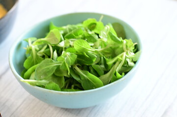 fresh green salad