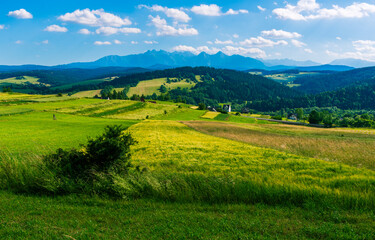 Scenic view of green meadows and forested hills under a blue sky with scattered clouds and mountain range in the distance. Peaceful rural landscape in summer