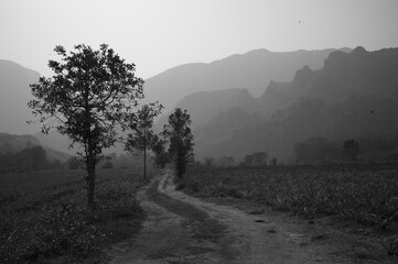 black and white landscape dirt road to mountain  beautiful back ground 
