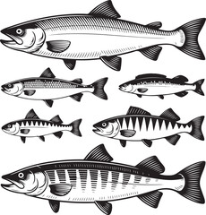 Traditional Line Engraving Fish Set – Hand-Drawn Vector Illustrations of Marine and Freshwater Species