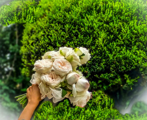 bouquet of roses
