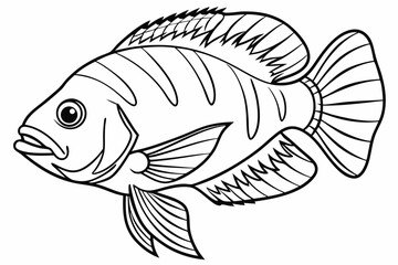coloring page line art the oscar fish black vector