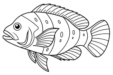 coloring page line art the oscar fish black vector