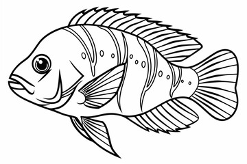 coloring page line art the oscar fish black vector