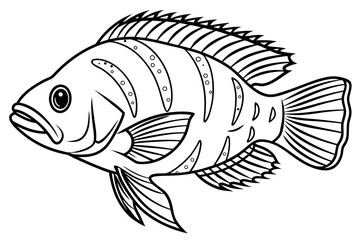 coloring page line art the oscar fish black vector