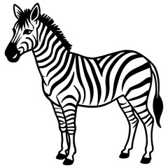Minimal Zebra on White