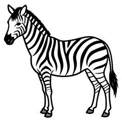 Minimal Zebra on White