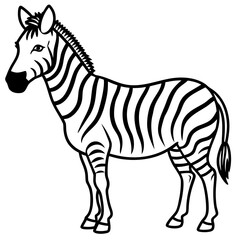 Minimal Zebra on White