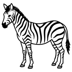 Minimal Zebra on White