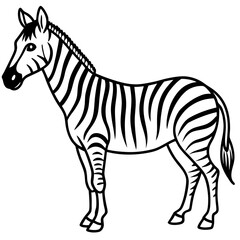 Minimal Zebra on White