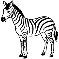 Minimal Zebra on White
