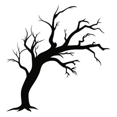 Aged Tree Branch Silhouette