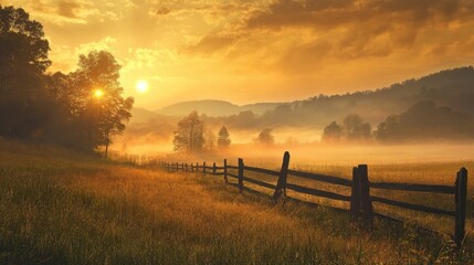 Obraz premium Golden Sunrise Meadow.