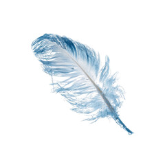 Single Light Blue Feather Isolated on Black Background