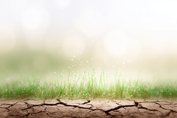Dry cracked earth with fresh green grass and soft bokeh background creating a serene atmosphere