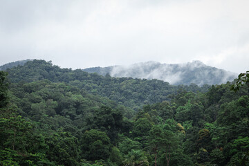 Mountains and fog after the rain