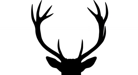 Silhouette of Deer Head with Antlers in Black on White Background
