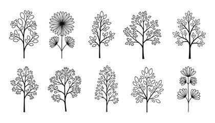 Collection of Botanical Sketch Trees and Plants Isolated on White, Floral Design Elements.