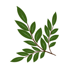 Minimal botanical illustration of a dark green leafy branch with vein details. Fresh, natural aesthetic perfect for eco, organic, or modern design themes.