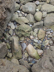 beautiful rocks from the beach