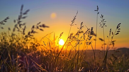 Fototapeta premium Golden Glow of Celebration: New Year Decorations Meet Grassland Sunset in Breathtaking Images As the sun dips below the horizon, painting the grassland in hues of amber and crimson, vibrant New Year d